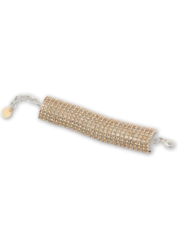 <b>SILVIA GNECCHI </b><br/>MAXI BOLDY