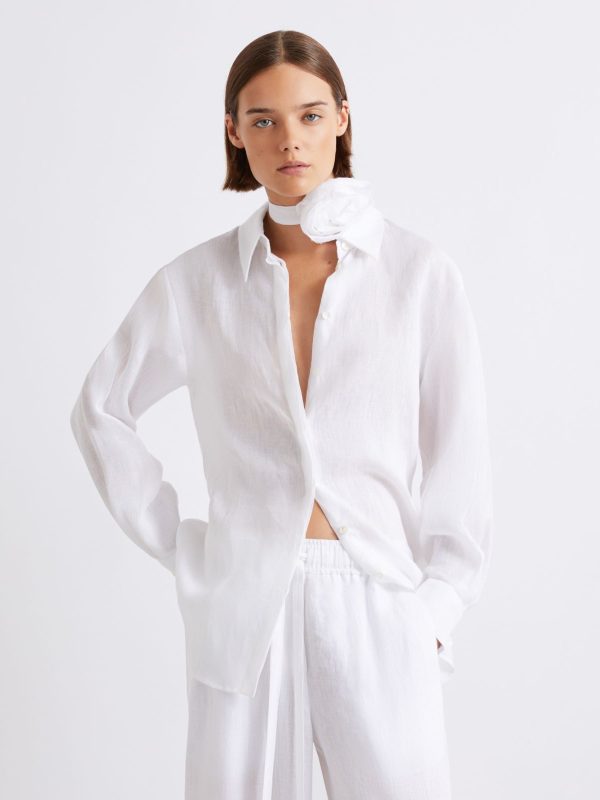 <b>MARELLA</b><br/>MLSEDITORE 01